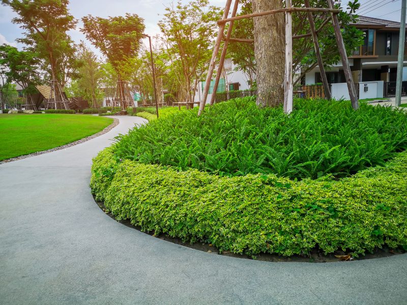 Tree Edging Installation in Honolulu, HI